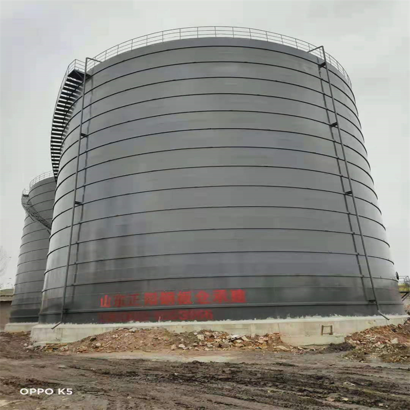 庆安3万吨大型钢板库